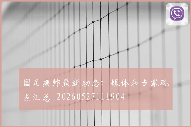 国足换帅最新动态：媒体和专家观点汇总_20260527111904